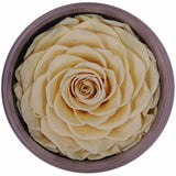 Single Head Preserved Rose
