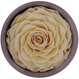 Preserved Rose Single Head