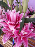 Lily Oriental Double