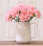 Carnation