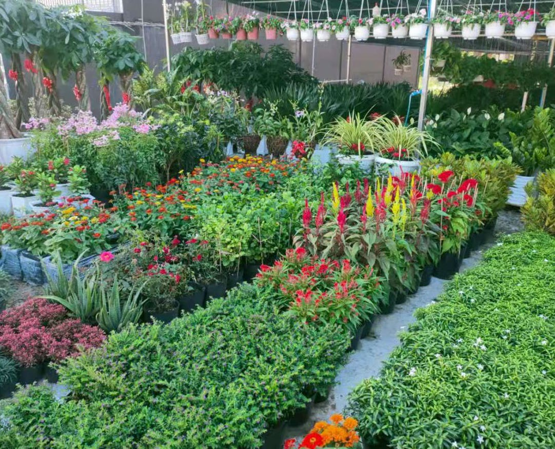 Cambodia cooperation 3