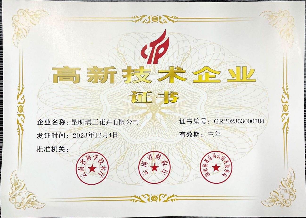 Certificate 1
