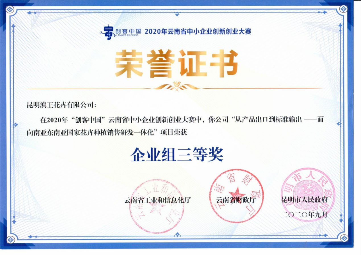 Certificate 4