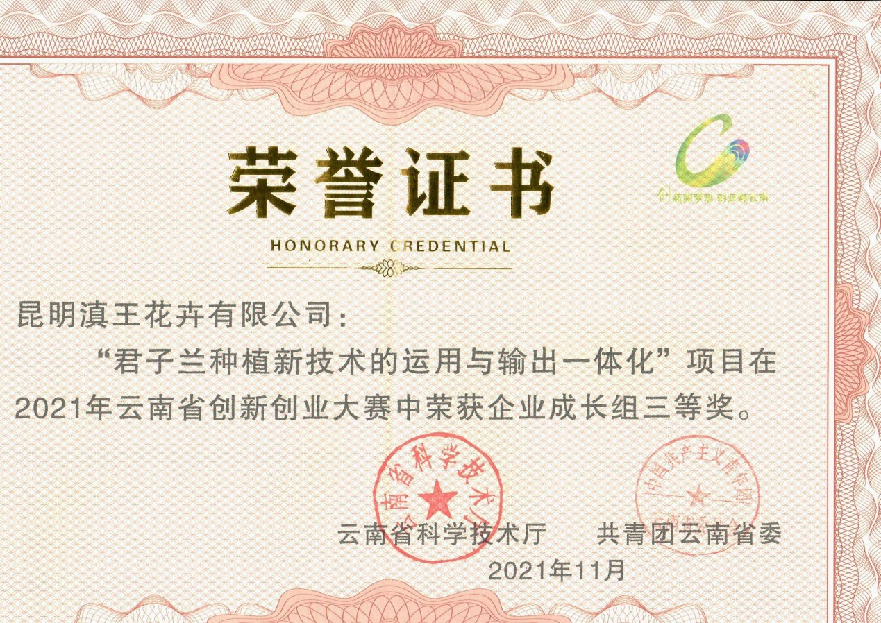 Certificate 5