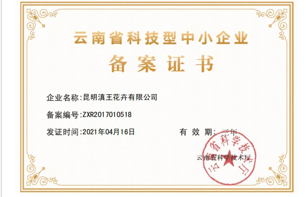 Certificate 7